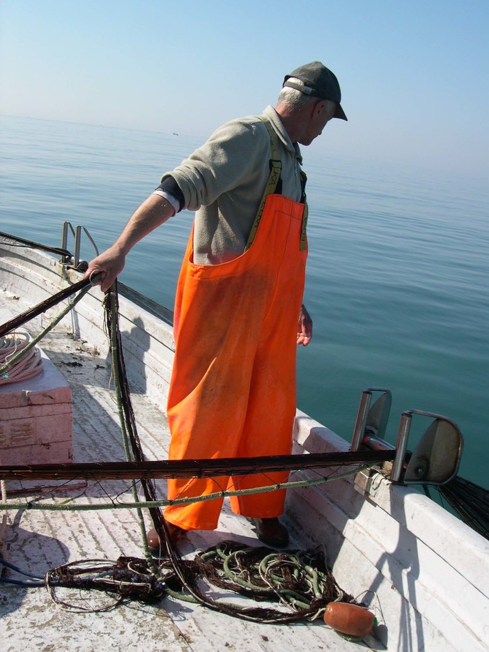 Pesca del rossetto: l'UE approva il rinnovo della deroga fino al 2027 per Liguria e Toscana Pesca del rossetto: l'UE approva il rinnovo della deroga fino al 2027 per Liguria e Toscana