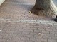 Sanremo: marciapiedi sporchi alla Foce, lettore segnala &quot;Da tempo le attività della zona se li puliscono da soli&quot;