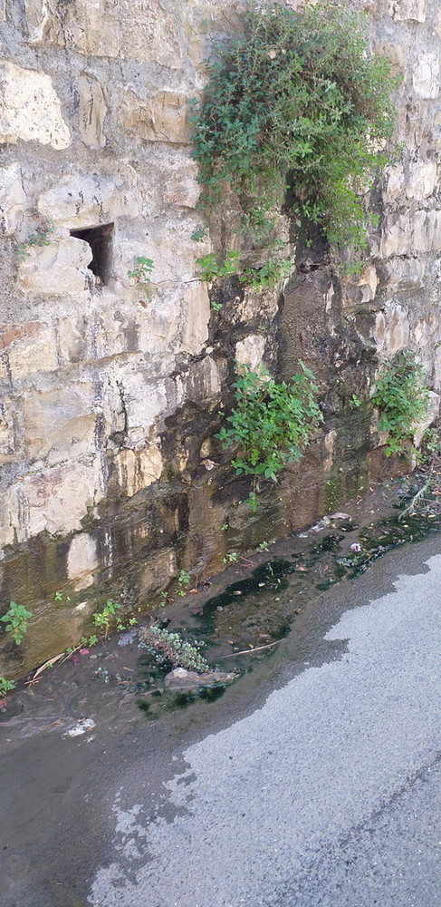 Sanremo: perdita d'acqua dal muro di sostegno della Montessori, la segnalazione con foto di un lettore