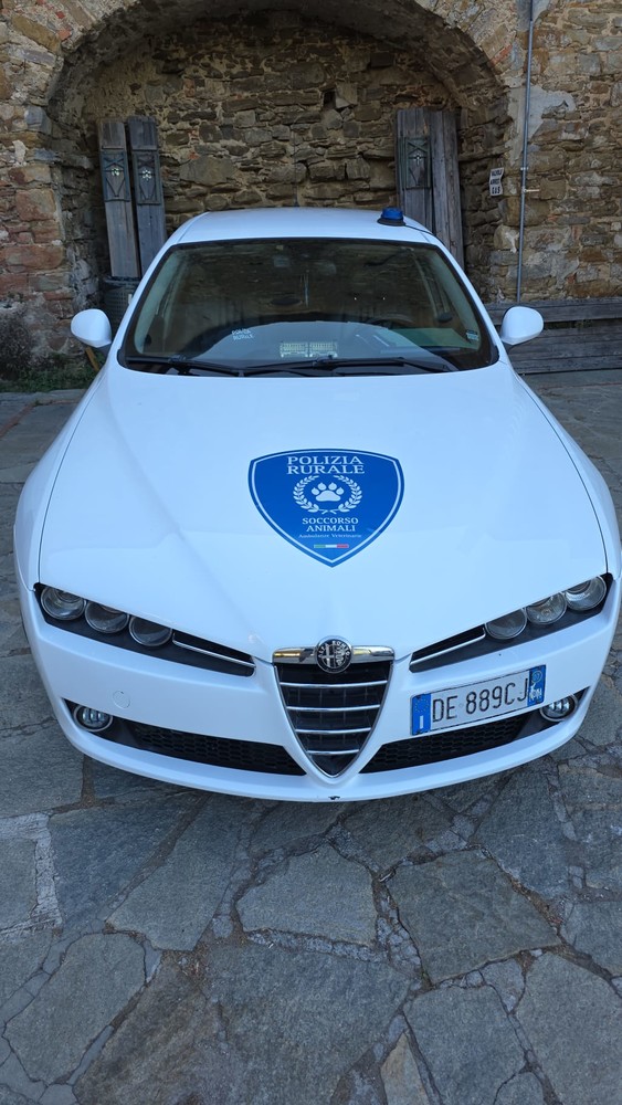 Ospedaletti, ha un colpo di calore: Bulldog salvato dalla polizia rurale