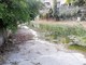 Diano Marina: dalla pulizia dei torrenti una discarica, raccolti 10 sacchi di spazzatura e tanti ingombranti Diano Marina: dalla pulizia dei torrenti una discarica, raccolti 10 sacchi di spazzatura e tanti ingombranti
