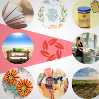 Montecarlo: la Liguria del Ponente protagonista del “Quality of Life” in programma il prossimo 15 dicembre Montecarlo: la Liguria del Ponente protagonista del “Quality of Life” in programma il prossimo 15 dicembre