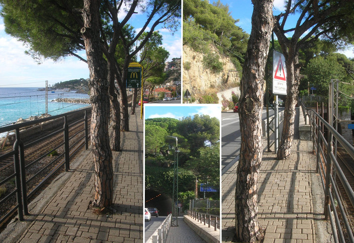 Bordighera: ringhiera a capo Migliarese in pessime condizioni, Ramoino chiede intervento di manutenzione Bordighera: ringhiera a capo Migliarese in pessime condizioni, Ramoino chiede intervento di manutenzione