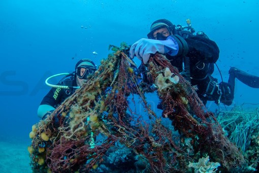 Ventimiglia: area protetta di Capo Mortola, l’Amministrazione sollecita il Consiglio regionale affinché deliberi la pratica il prima possibile Ventimiglia: area protetta di Capo Mortola, l’Amministrazione sollecita il Consiglio regionale affinché deliberi la pratica il prima possibile