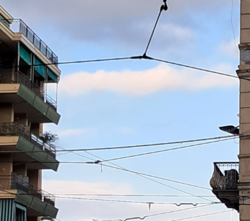Mancata rimozione dei cavi di sostegno delle vecchie linee elettriche in rame, un lettore: "Rischio sicurezza e degrado urbano tra Taggia e Ventimiglia" Mancata rimozione dei cavi di sostegno delle vecchie linee elettriche in rame, un lettore: "Rischio sicurezza e degrado urbano tra Taggia e Ventimiglia"