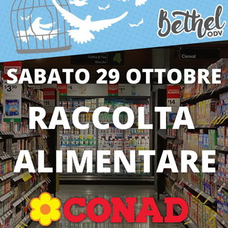 Vallecrosia: il 29 ottobre, raccolta alimentare dell'associazione Bethel in collaborazione con Conad Vallecrosia: il 29 ottobre, raccolta alimentare dell'associazione Bethel in collaborazione con Conad