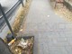 Ventimiglia: “Roverino è sporca!”, il sindacalista Antonio Serra bacchetta l’Amministrazione sulla pulizia del quartiere (Foto)