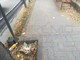 Ventimiglia: “Roverino è sporca!”, il sindacalista Antonio Serra bacchetta l’Amministrazione sulla pulizia del quartiere (Foto) Ventimiglia: “Roverino è sporca!”, il sindacalista Antonio Serra bacchetta l’Amministrazione sulla pulizia del quartiere (Foto)