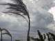 Raffiche di vento fino a 80 km/h in provincia di Imperia, il bollettino di Arpal