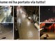 "Il fiume mi ha portato via tutto", ventimigliese lancia una raccolta fondi online dopo l'alluvione "Il fiume mi ha portato via tutto", ventimigliese lancia una raccolta fondi online dopo l'alluvione