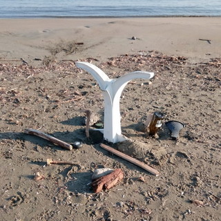 Santo Stefano al Mare: domenica prossima primo appuntamento con la pulizia del litorale insieme a Legambiente Santo Stefano al Mare: domenica prossima primo appuntamento con la pulizia del litorale insieme a Legambiente