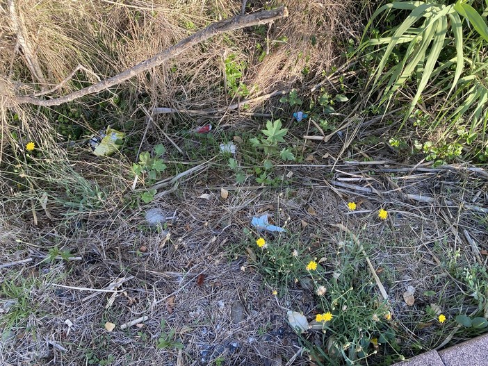 Sanremo, rifiuti a Bussana. Un turista: "E' un gran peccato" (foto) Sanremo, rifiuti a Bussana. Un turista: "E' un gran peccato" (foto)