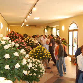 A San Biagio della Cima, aperta 'Rose in Esposizione', edizione superiore per qualità e quantità A San Biagio della Cima, aperta 'Rose in Esposizione', edizione superiore per qualità e quantità