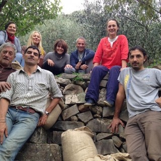 Una giornata nell'uliveto alla scoperta di usi e tradizioni del frutto onnipresente nella cultura mediterranea Una giornata nell'uliveto alla scoperta di usi e tradizioni del frutto onnipresente nella cultura mediterranea