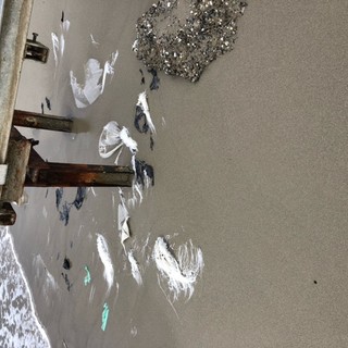 Diano Marina, un nostro lettore: "Bene il parco subacqueo, ma occorre diminuire la presenza della plastica" (foto)