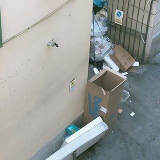 Rifiuti ingombranti abbandonati, Raffaele Canessa (Ferrolegno Market): "Non è roba nostra"