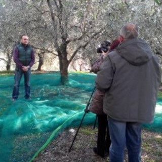 Pontedassio: domani mattina a 'Il Settimanale' su Rai Tre uno speciale sull'Olio Dop