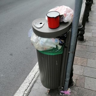 Raccolta differenziata, i sacchi abbandonati in centro sono il banchetto dei gabbiani