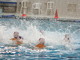 Pallanuoto: campionato under 15 serie B, la Rari sconfitta in casa dall'Arenzano Pallanuoto: campionato under 15 serie B, la Rari sconfitta in casa dall'Arenzano