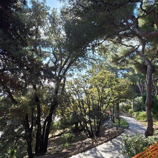 Bordighera, viabilità e sicurezza del camminamento alla pineta: affrontata in consiglio comunale l'interrogazione della minoranza Bordighera, viabilità e sicurezza del camminamento alla pineta: affrontata in consiglio comunale l'interrogazione della minoranza
