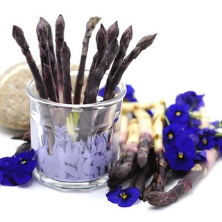 Castelbianco (SV) una sosta da Gin per “mangiare i fiori”