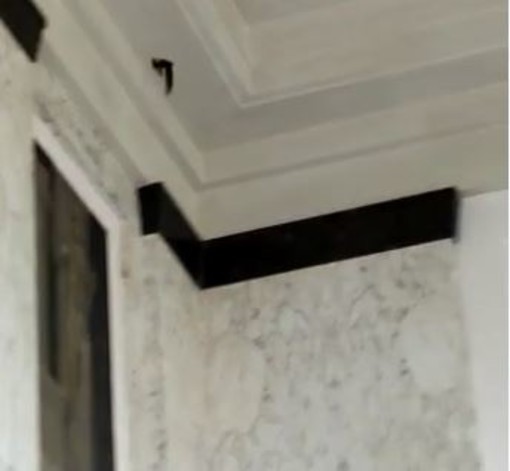 Imperia: fuori programma in sala consiglio, una rondine entra durante una commissione consiliare (video) Imperia: fuori programma in sala consiglio, una rondine entra durante una commissione consiliare (video)