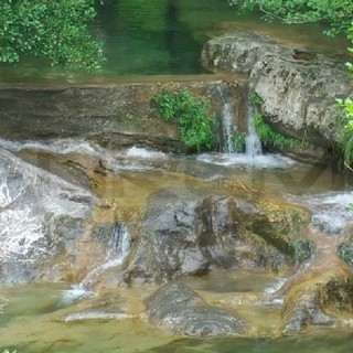 Pigna, respinto il ricorso al TSAP. Il sindaco Trutalli: "Il Rio Carne e il suo romanico ponte sono salvi" Pigna, respinto il ricorso al TSAP. Il sindaco Trutalli: "Il Rio Carne e il suo romanico ponte sono salvi"