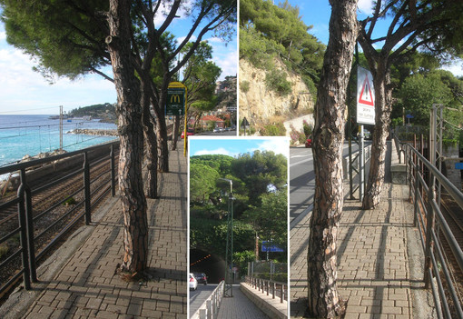 Bordighera: ringhiera a capo Migliarese in pessime condizioni, Ramoino chiede intervento di manutenzione Bordighera: ringhiera a capo Migliarese in pessime condizioni, Ramoino chiede intervento di manutenzione