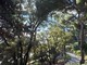 Bordighera, viabilità e sicurezza del camminamento alla pineta: affrontata in consiglio comunale l'interrogazione della minoranza Bordighera, viabilità e sicurezza del camminamento alla pineta: affrontata in consiglio comunale l'interrogazione della minoranza