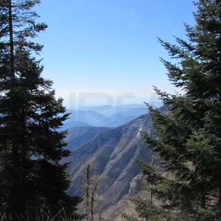 La vacanza su misura: albergatori, ristoratori e guide turistiche, insieme per la Riviera dei Fiori Outdoor