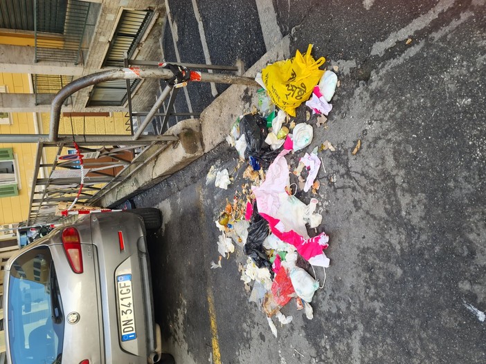 Sanremo, lo sfogo di una lettrice: "Non è sempre colpa di Amaie, ma di tanti incivili se ci sono rifiuti" (foto) Sanremo, lo sfogo di una lettrice: "Non è sempre colpa di Amaie, ma di tanti incivili se ci sono rifiuti" (foto)