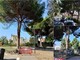 Vallecrosia, rami di pino pericolanti: al via i lavori per la messa in sicurezza (Foto) Vallecrosia, rami di pino pericolanti: al via i lavori per la messa in sicurezza (Foto)
