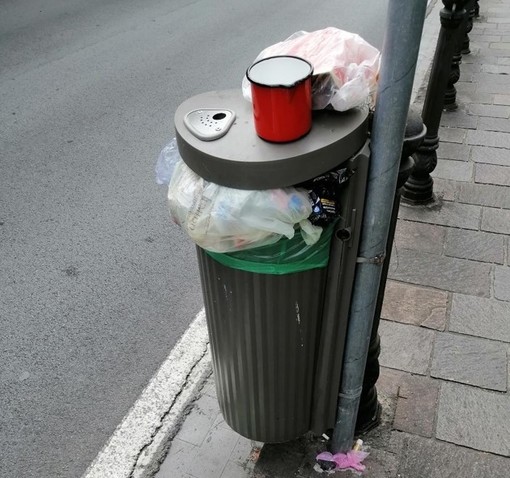 Raccolta differenziata, i sacchi abbandonati in centro sono il banchetto dei gabbiani Raccolta differenziata, i sacchi abbandonati in centro sono il banchetto dei gabbiani