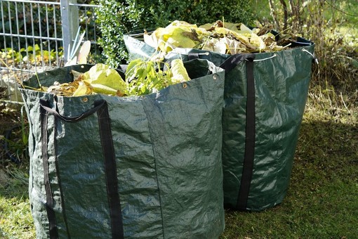 Smaltimento Sfalci e Potature: Dal Rifiuto al Compost di Qualità Smaltimento Sfalci e Potature: Dal Rifiuto al Compost di Qualità