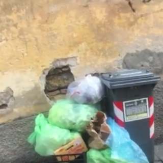 Imperia: rifiuti in via dell'Ospedale, Nella Ponte (M5S) "Ecco l'operazione decoro di Scajola" (video)