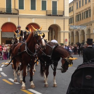 Imperia: oggi ad Oneglia, grande spettacolo con il raduno della carrozze a cavallo. Le foto Imperia: oggi ad Oneglia, grande spettacolo con il raduno della carrozze a cavallo. Le foto