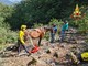 Elicottero dei vigili del fuoco salva la cavalla Dafne: da 24 ore era bloccata in un canalone