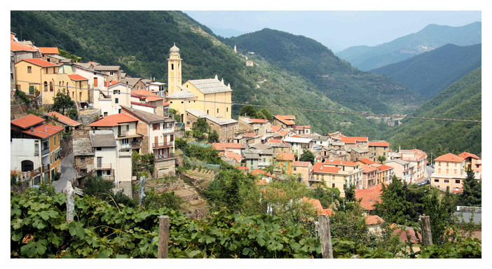 Rezzo: il legno del bosco va all'asta per aiutare le casse del Comune, in vendita 1,5 tonnellate di faggio