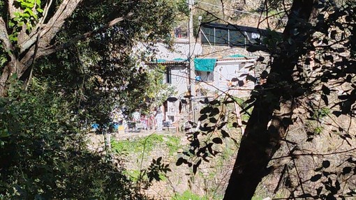 Morte di Beatrice, parla Iannuzzi: “Era viva quando sono uscito”. Il video a La Vita in diretta agli atti Morte di Beatrice, parla Iannuzzi: “Era viva quando sono uscito”. Il video a La Vita in diretta agli atti