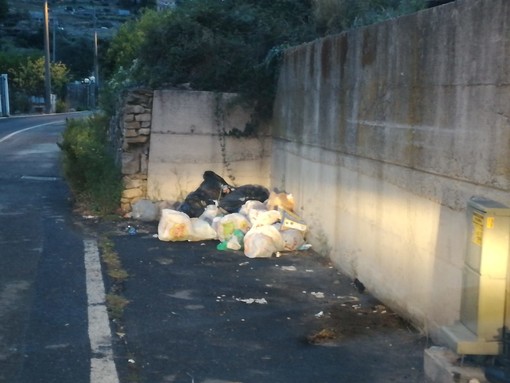 Nel giorno dell'assegnazione a De Vizia, in Consiglio la discussione sui rifiuti, l'Assessore: "Dall'avvio del servizio risparmiato oltre 1 milione di euro"