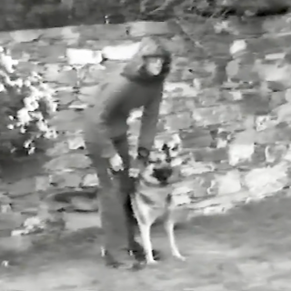 "Tra Storia e Ricordi" è dedicato a "Rapallo, le armi al guinzaglio" nel videodocumentario di Roberto Pecchinino