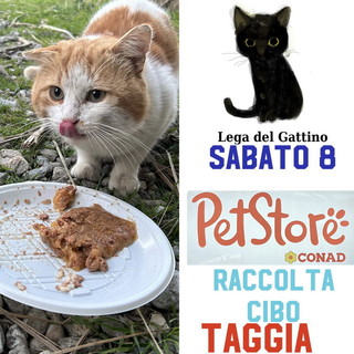 Taggia: domani all’interno del parco commerciale Spazio  Conad  raccolta cibo per i gatti e gattini randagi