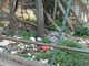 Sanremo: situazione di degrado vicino al Carrefour di Bussana, la segnalazione di un lettore