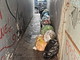 Sanremo: rifiuti in via Roglio ostacolano il passaggio a disabili, la segnalazione con foto di due lettori Sanremo: rifiuti in via Roglio ostacolano il passaggio a disabili, la segnalazione con foto di due lettori