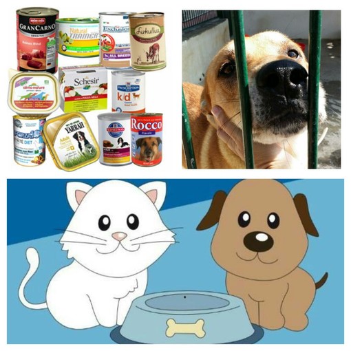 Sanremo: sabato da Fortesan raccolta cibo straordinaria per i cani ed i gatti dell'Enpa Sanremo: sabato da Fortesan raccolta cibo straordinaria per i cani ed i gatti dell'Enpa