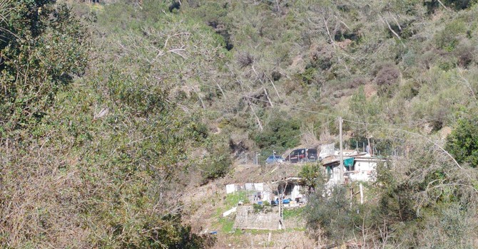 Bimba morta a Bordighera, legali e famiglia ancora in attesa degli esiti. Il compagno della madre sotto shock: “Non esce più di casa” Bimba morta a Bordighera, legali e famiglia ancora in attesa degli esiti. Il compagno della madre sotto shock: “Non esce più di casa”