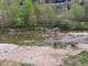 Imperia: bruciano canne sul greto del torrente a Barcheto, blitz di carabinieri e polizia municipale