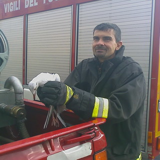 Sanremo: vigili del fuoco salvano gabbiano rimasto appeso a testa in giù ad un parafulmine