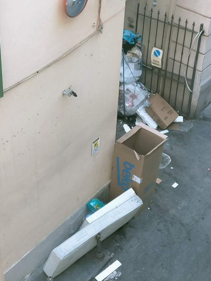 Rifiuti ingombranti abbandonati, Raffaele Canessa (Ferrolegno Market): "Non è roba nostra"