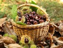 Autunno in festa: castagne, cultura e paesaggi da scoprire nel weekend in provincia di Imperia